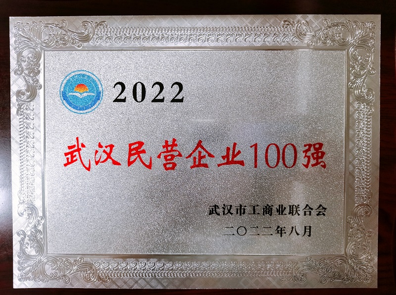 武漢民營(yíng)百強39